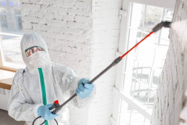 Bowmanstown, PA Mold Removal Company